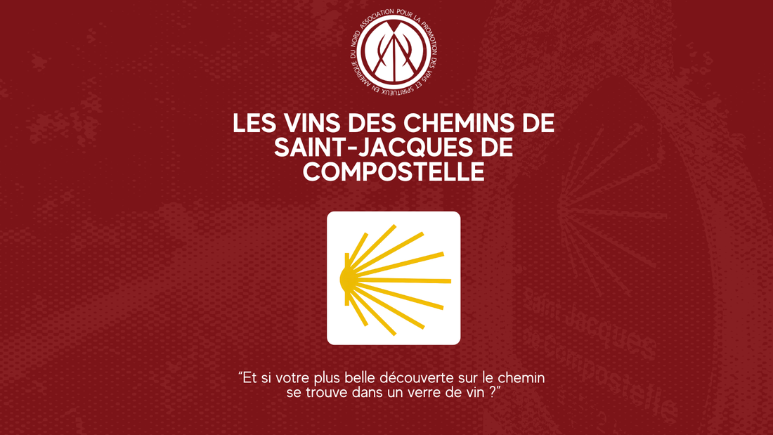 Les vins du chemin de Saint-Jacques-de-Compostelle