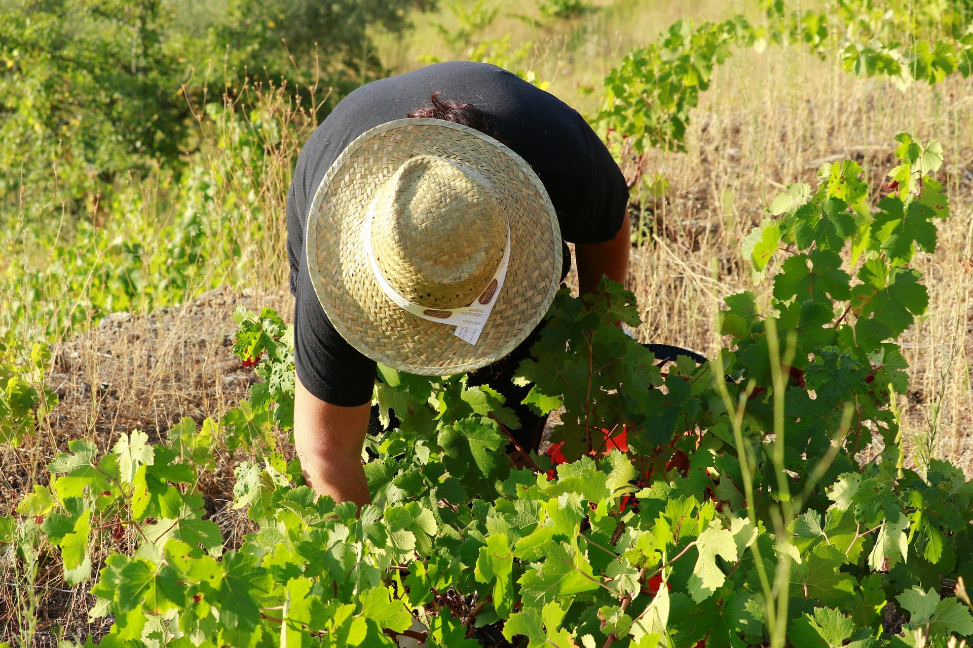 Translation missing: en.sections.video.load_video