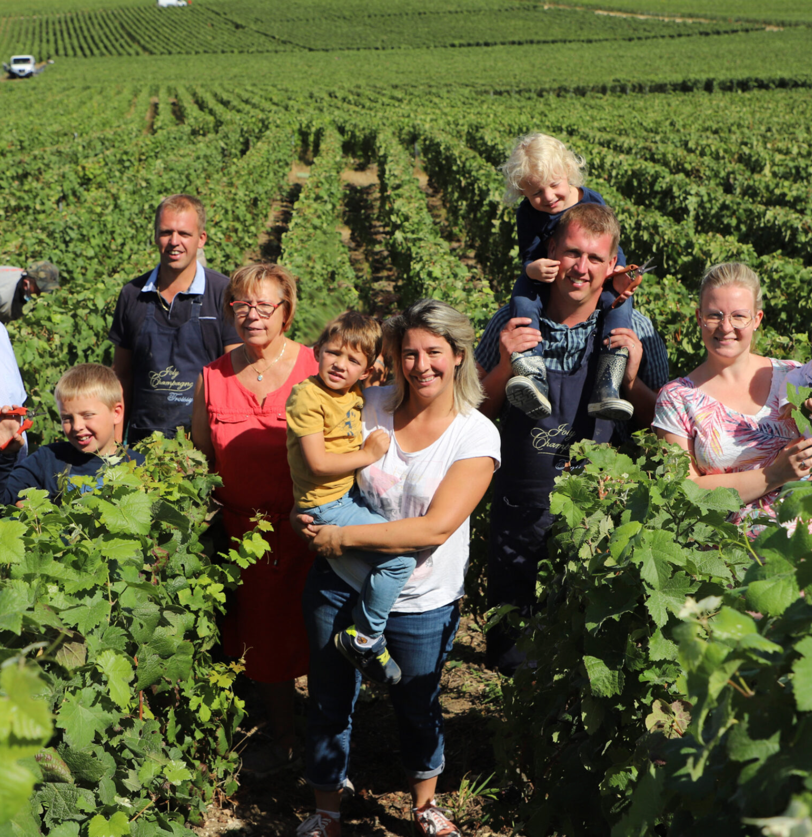 Translation missing: es.sections.video.load_video