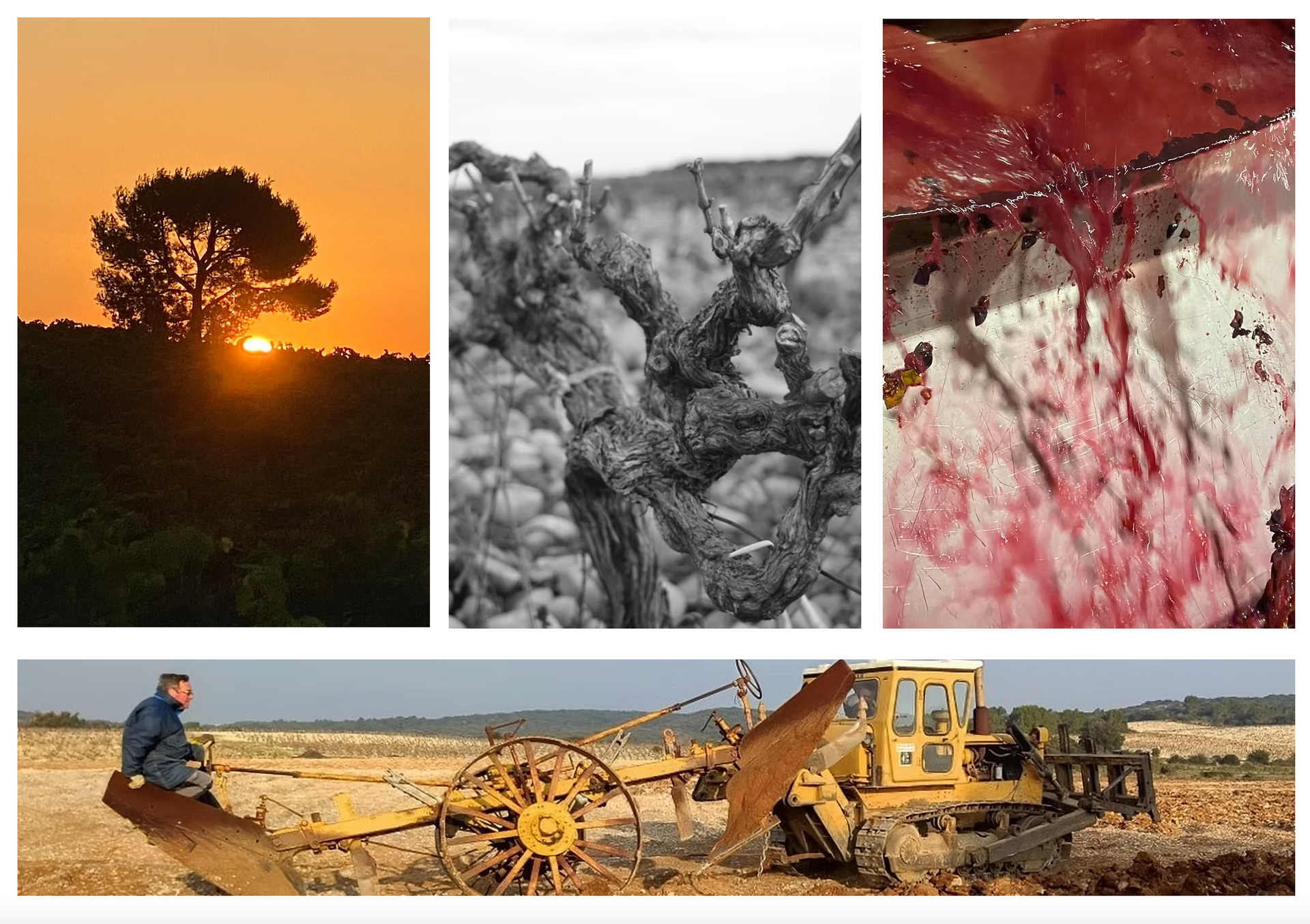 Translation missing: es.sections.video.load_video