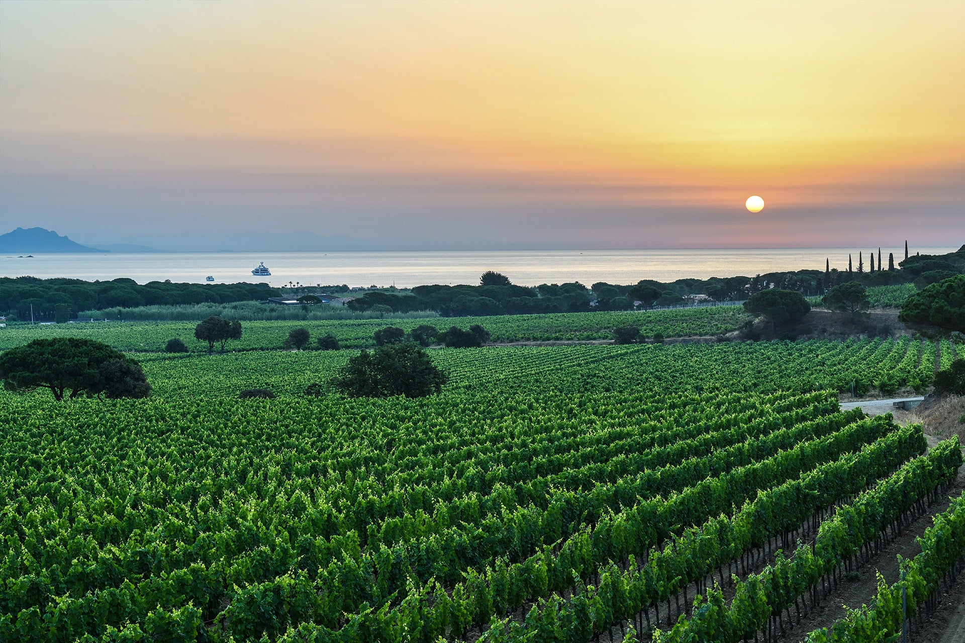 Translation missing: fr.sections.video.load_video