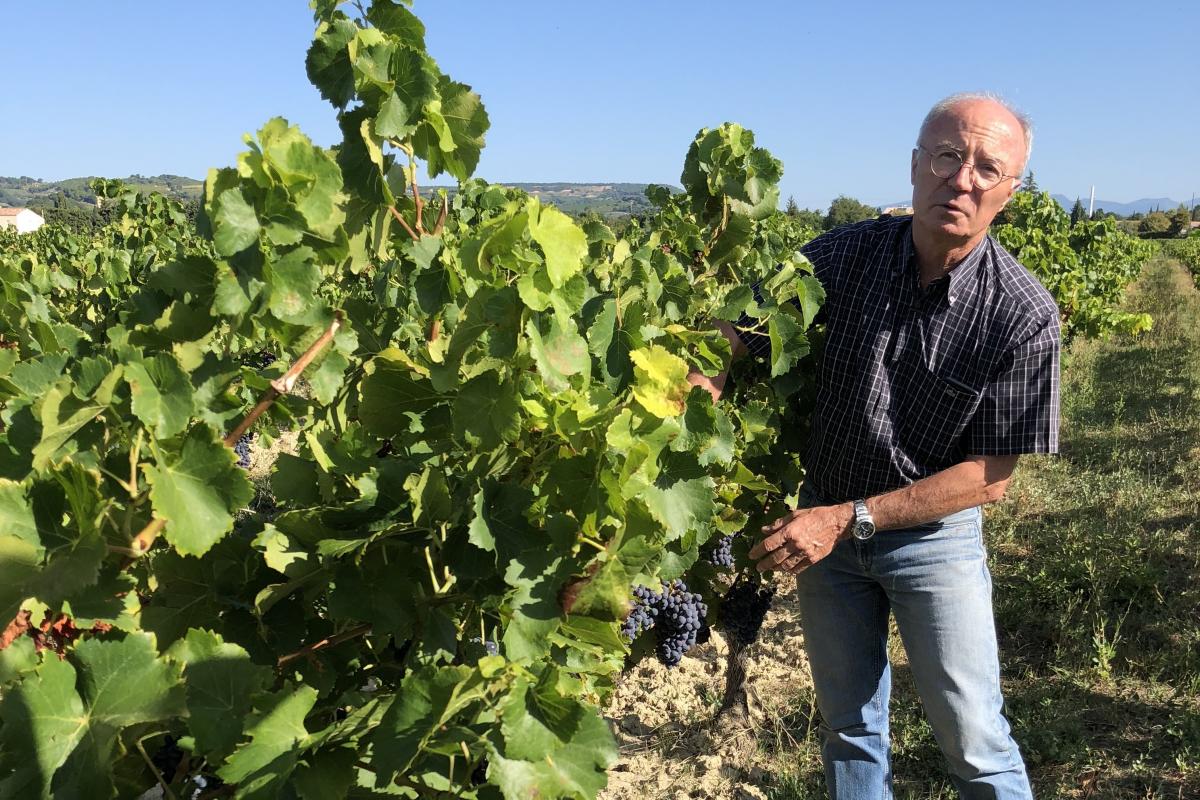 Translation missing: fr.sections.video.load_video