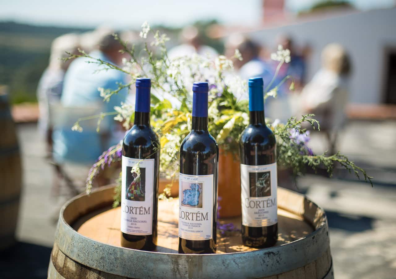 Translation missing: en.sections.video.load_video