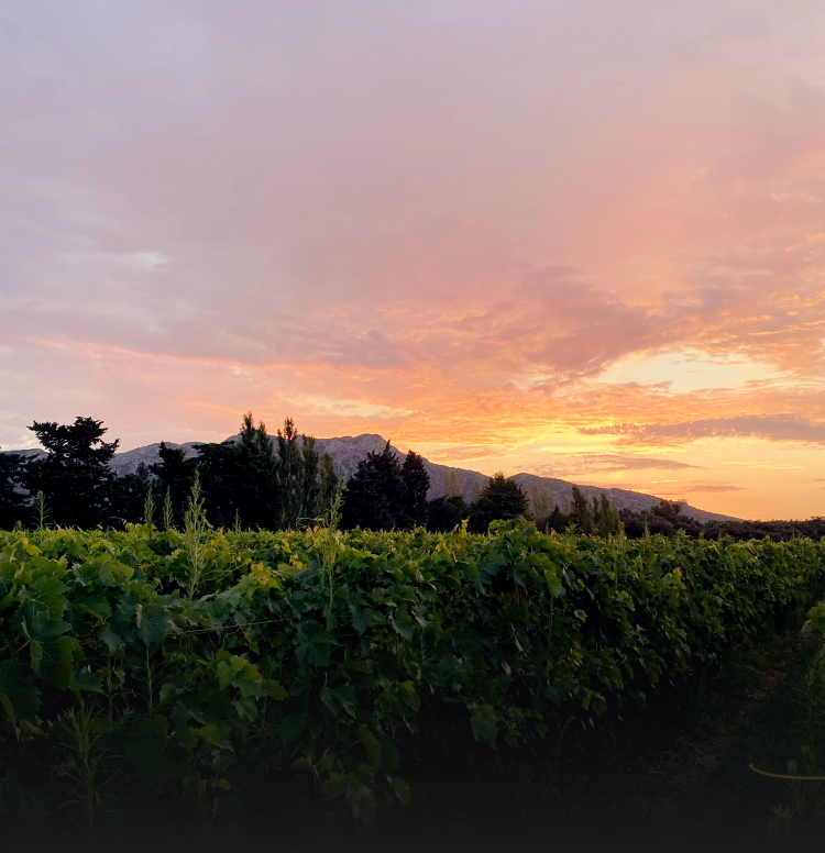 Translation missing: fr.sections.video.load_video