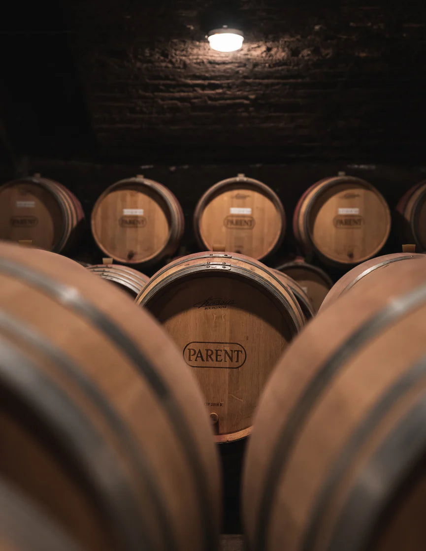 Translation missing: es.sections.video.load_video