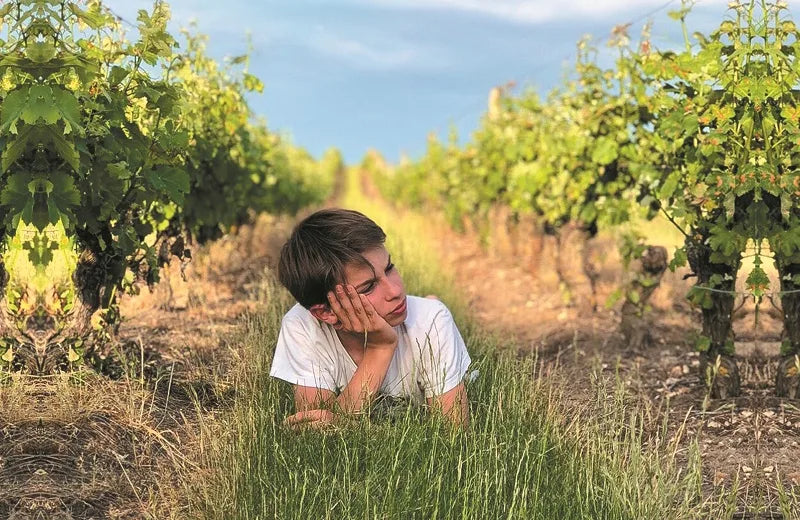 Translation missing: es.sections.video.load_video