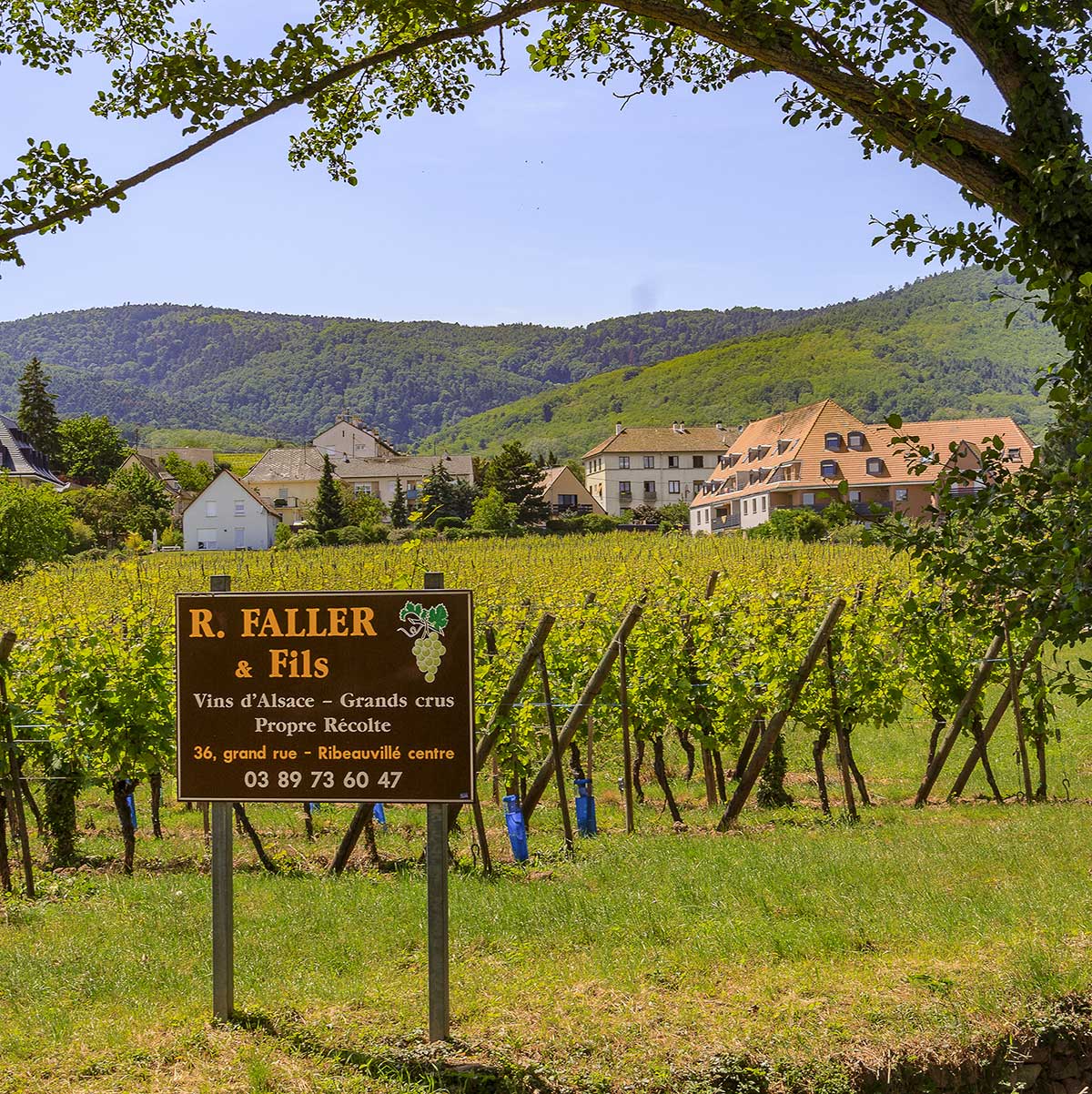 Translation missing: es.sections.video.load_video