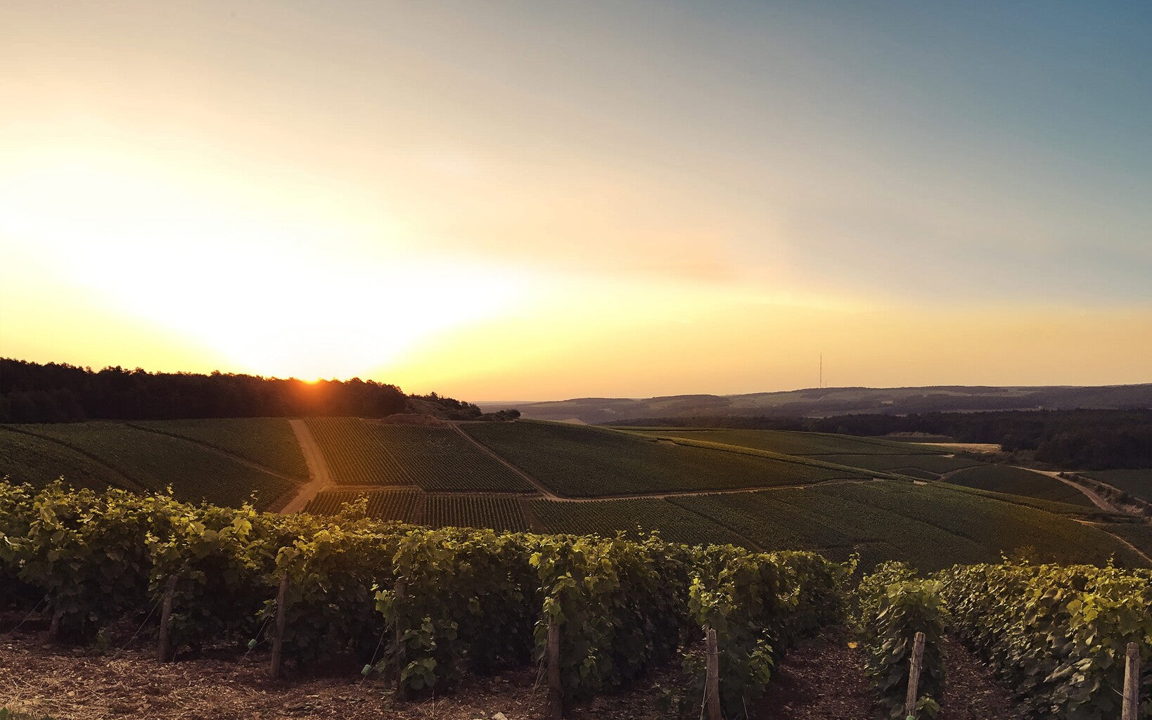 Translation missing: es.sections.video.load_video